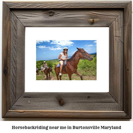 horseback riding near me in Burtonsville, Maryland